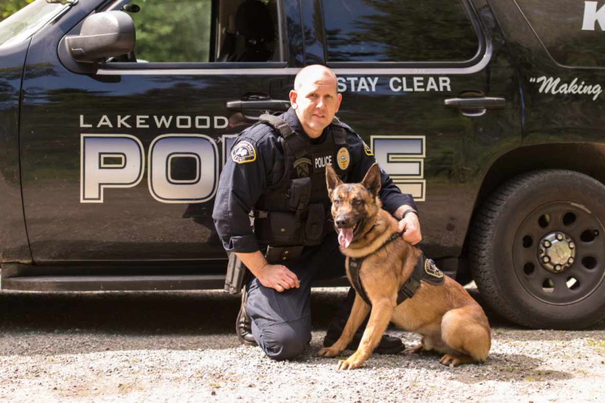 A Lakewood K9 officer with his K9. 