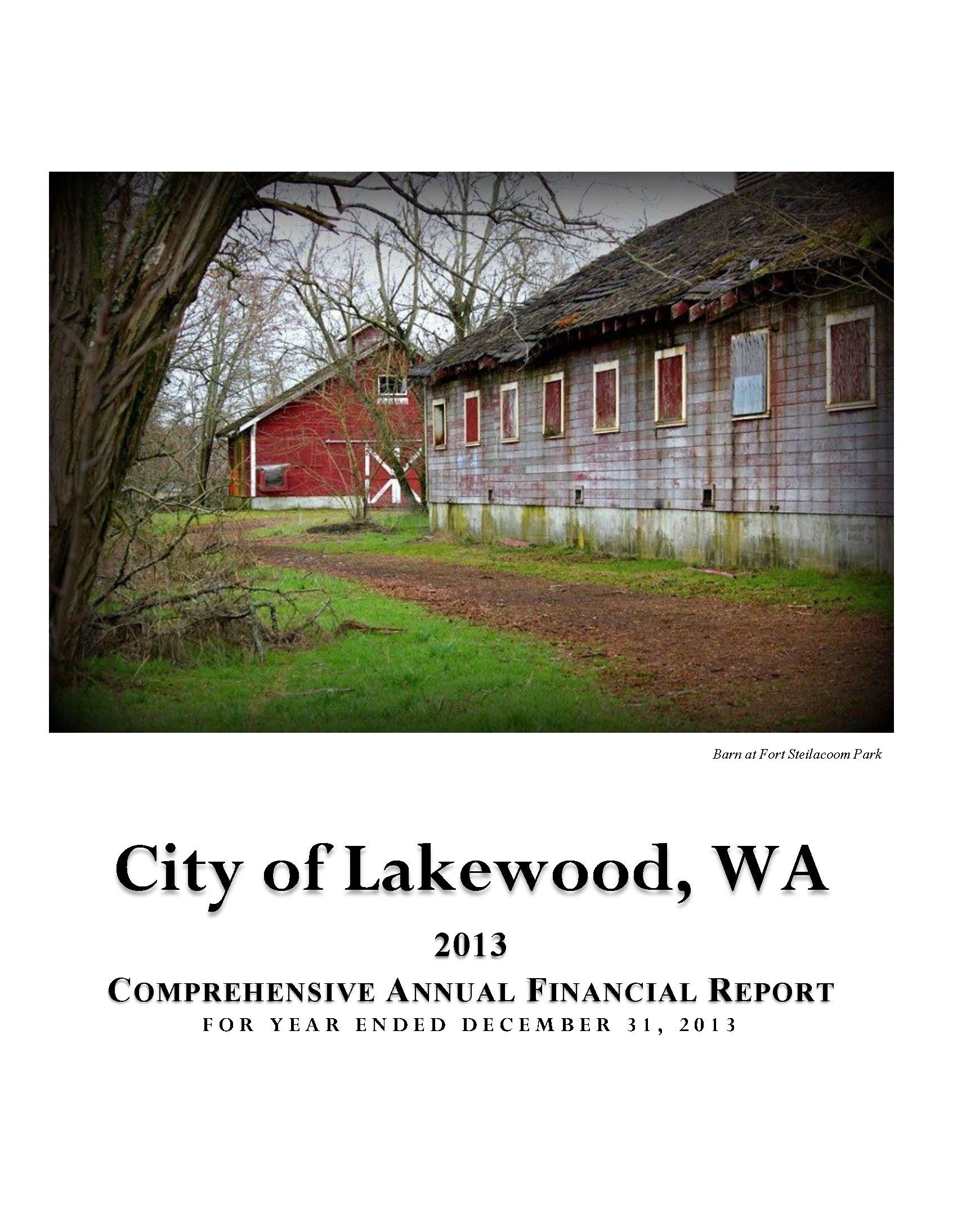 2013 Annual Comprehensive Financial Report (PDF)
