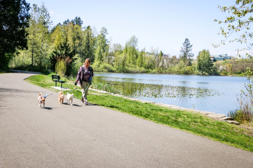 Lakewood Parks City of Lakewood