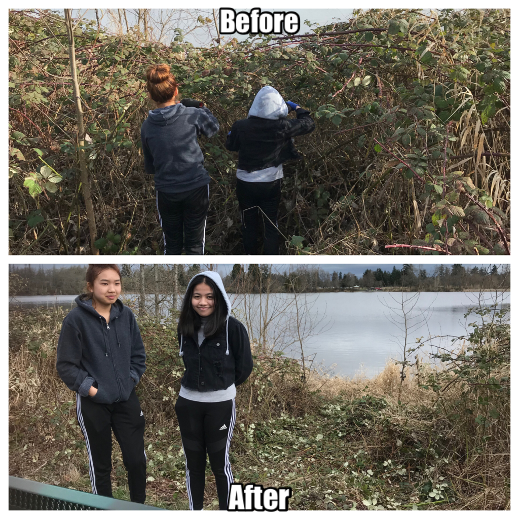 Two students pose in a Before and After pic from Fort Steilacoom Park where they helped cut down blackberry bushes.