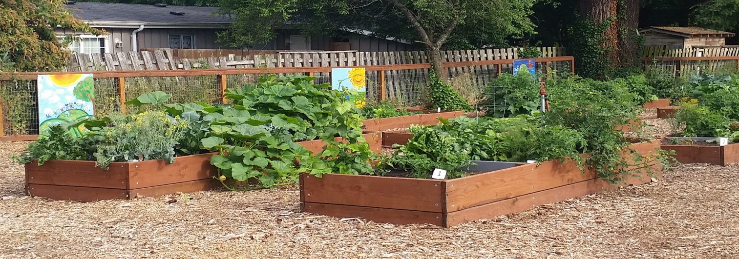 Springbrook Community Garden City of Lakewood
