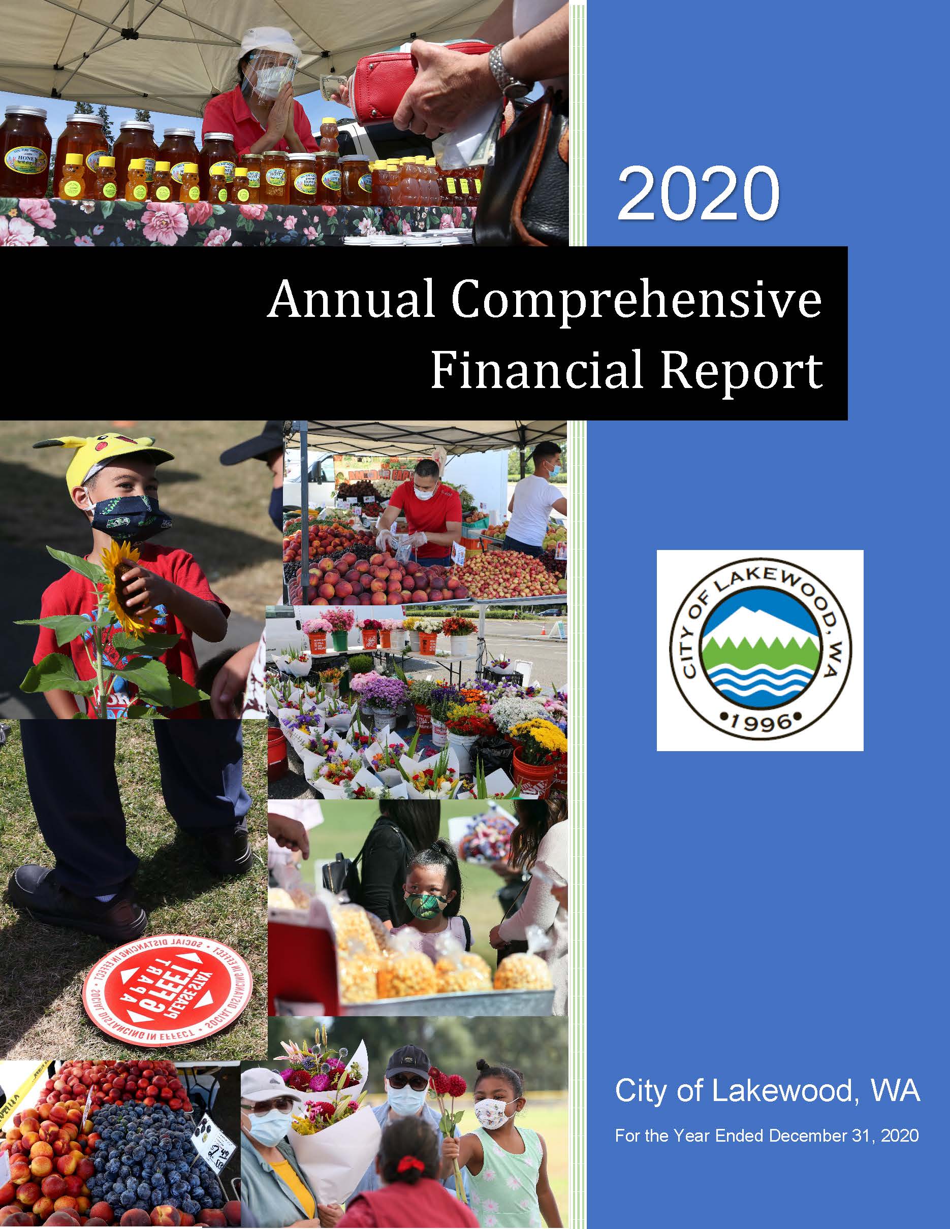 2020 Annual Comprehensive Financial Report (PDF)