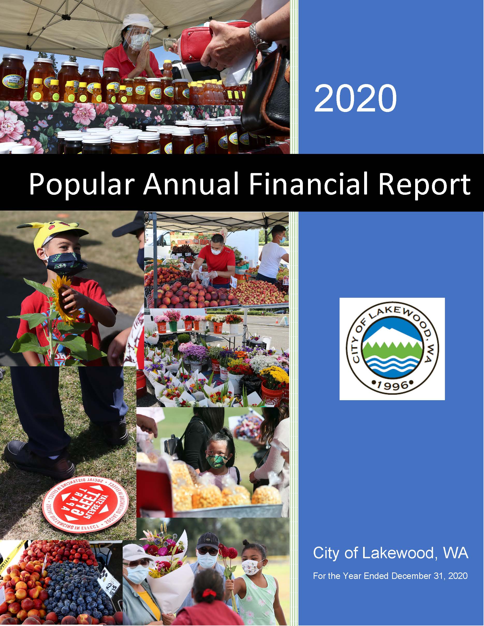 2020 Popular Annual Financial Report (PDF)