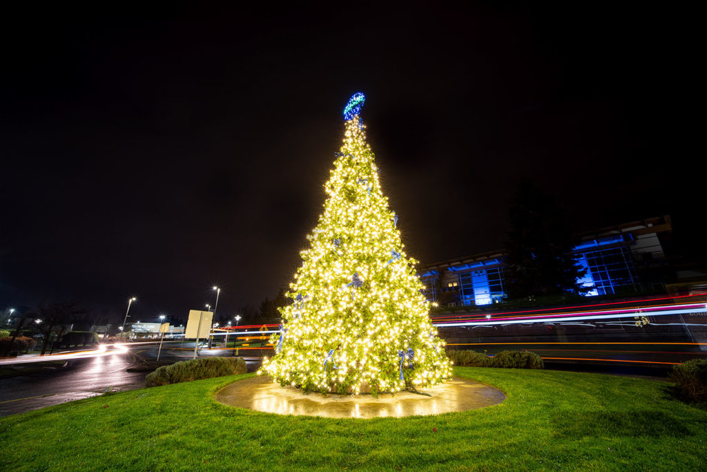 The Lakewood Christmas Tree lit up at night