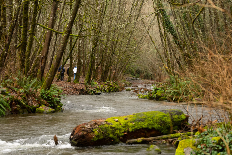 Chambers Creek