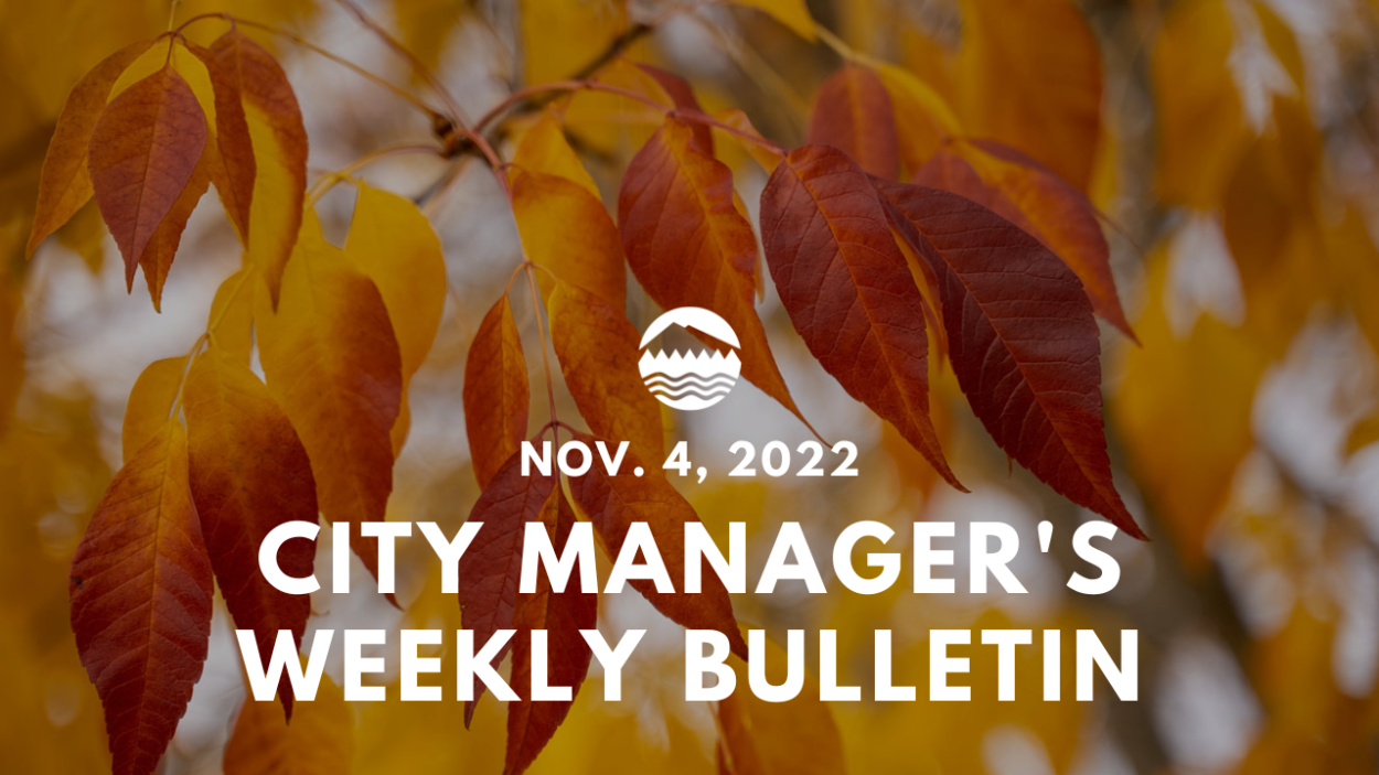 City Manager's Weekly Bulletin Nov. 4, 2022 text overset on an image of burnt orange tree leaves