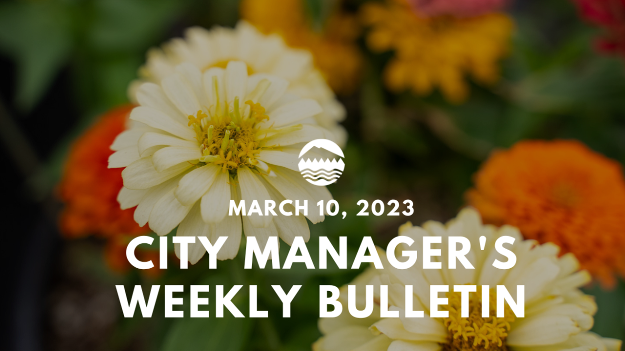 City Manager's weekly bulletin March 10, 2023