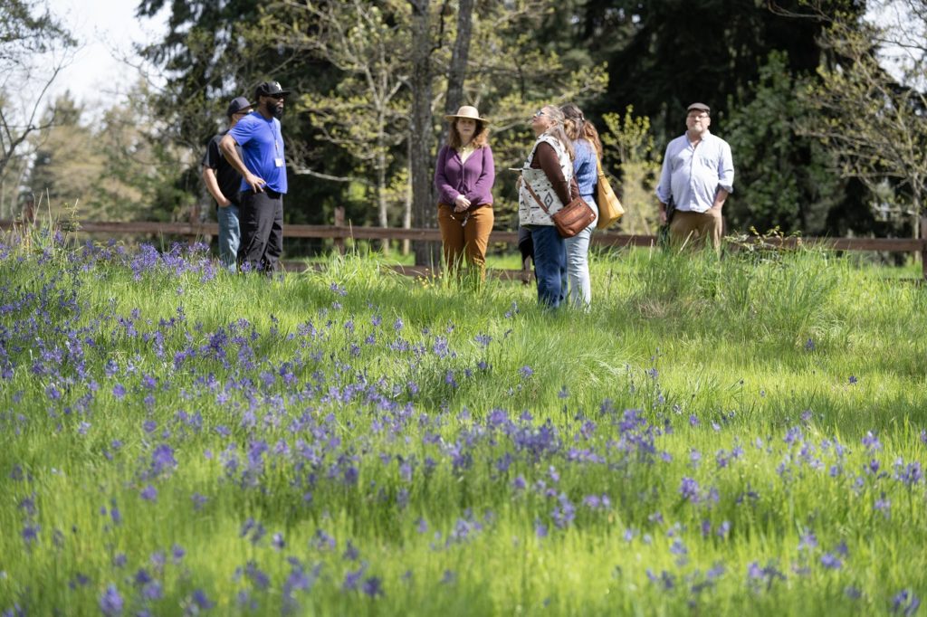 Members of the Nisqually Indian Tribe stand in a field of camas flowers at Fort Steilacoom Park in Lakewood, WA May 8, 2023.