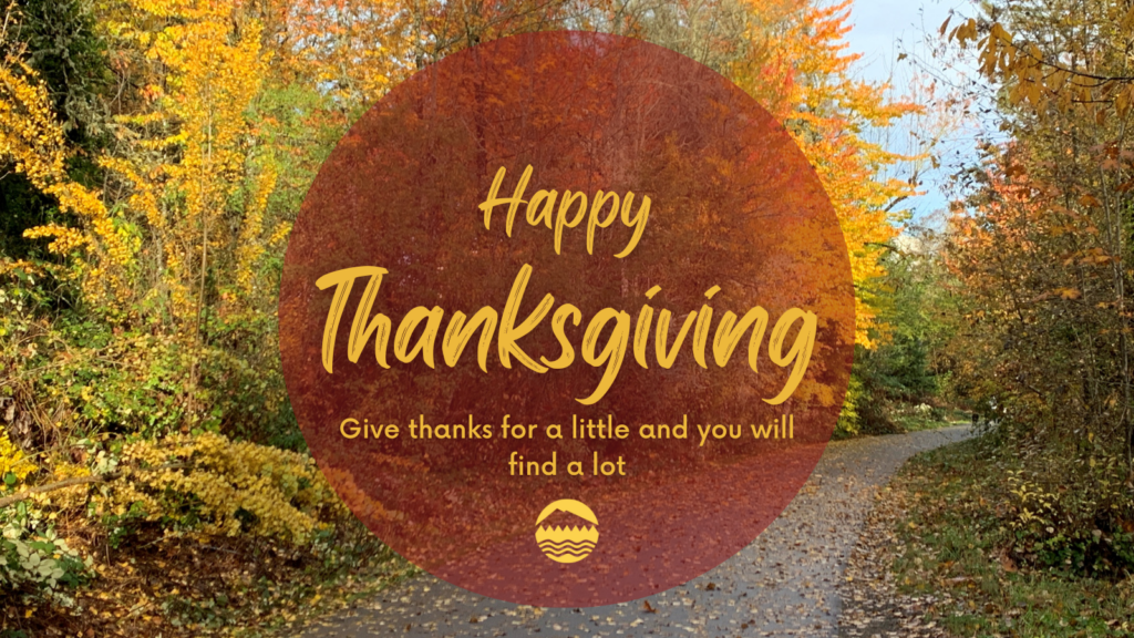 A picture of a paved path with leaves in orange, yellow and green. The words Happy Thanksgiving, Give Thanks for a Little and you Will Find A Lot are on the image.