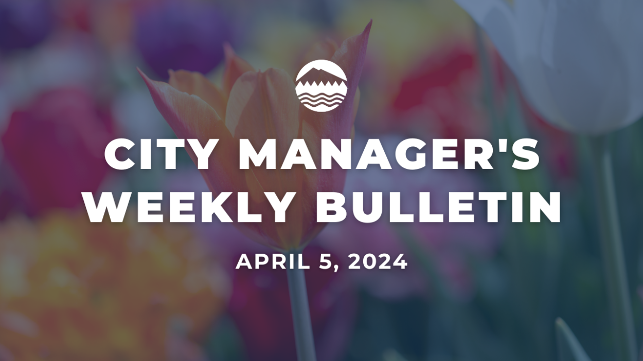 White text reads City Manager's Bulletin April 5, 2024 over an image of a pink and orange tulip.