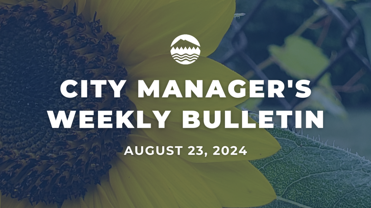 Close up photo of a sunflower with white text over the image that reads City Manager's Weekly Bulletin Aug. 23, 2024