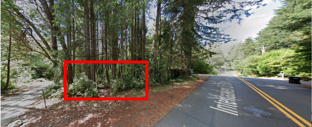 A Google Street view screen shot of a cluster of trees on Interlaaken Drive with a red rectangle outlining the trees that have an orange spray painted dot on them.