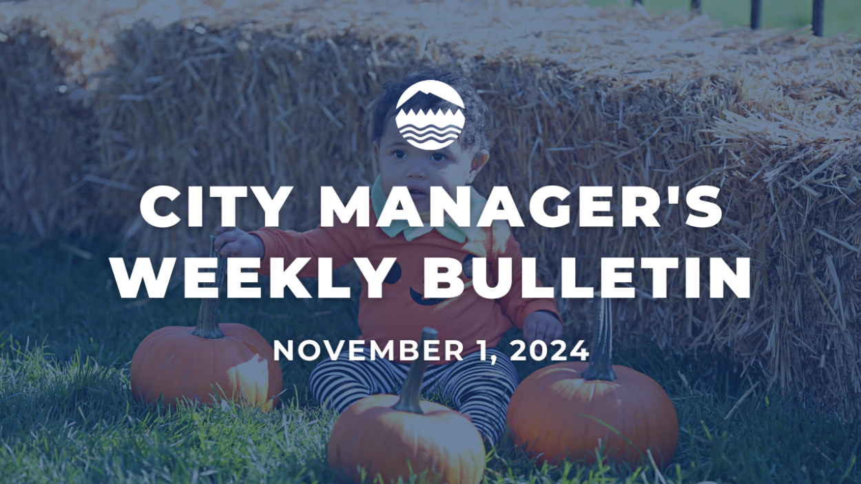 City Manager's Weekly Bulletin Nov. 1, 2024 in white text over an image of a child with three pumpkins.