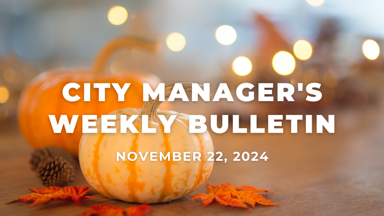 City Manager's Weekly Bulletin Nov. 22, 2024 white text over an image of two small pumpkins with pinecones and leaves and white lights in the background.