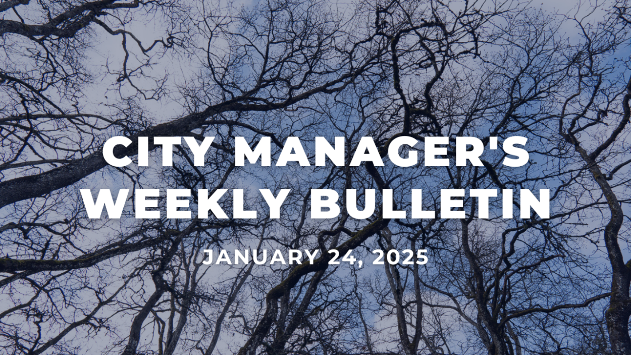 An image of oak trees from the ground looking up toward the sky. White text over the image reads City Manager's Weekly Bulletin January 24, 2025.