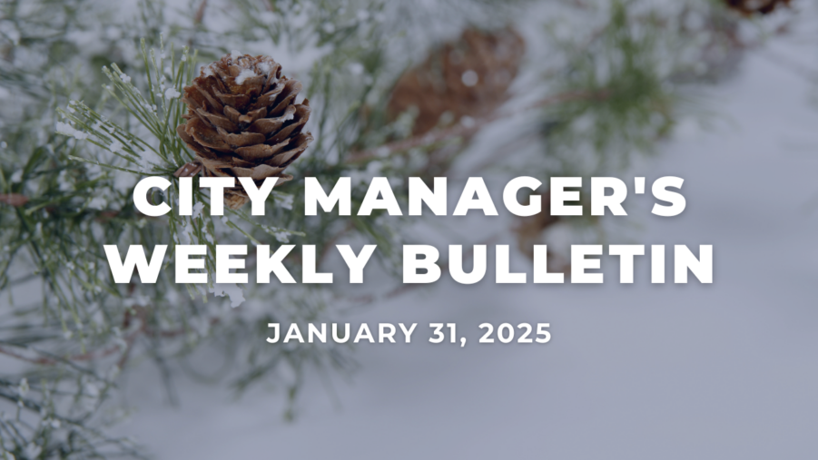 A close up of a pine cone still attached to a tree with snow. White text over the image reads City Manager's Weekly Bulletin January 31, 2025.