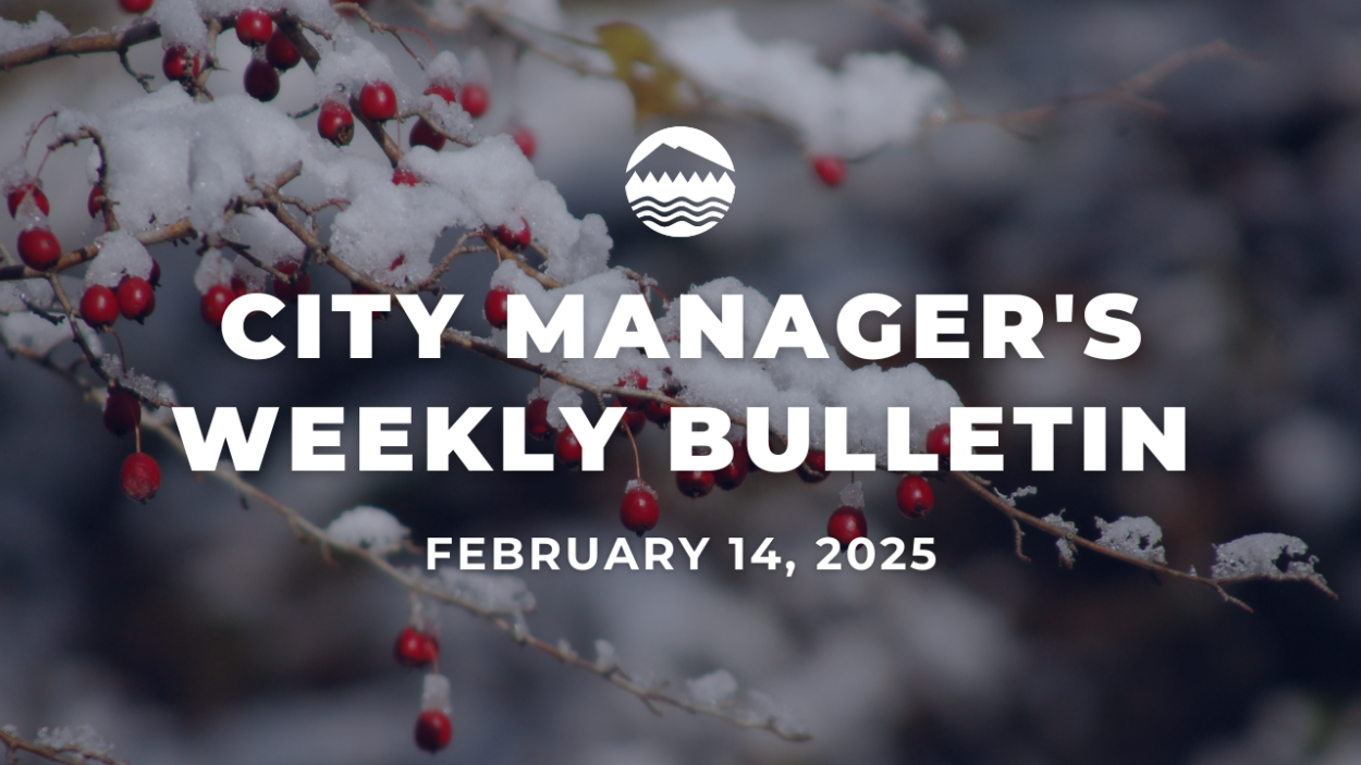 A picture of red berries on a winter branch with snow. City Manager's Weekly Bulletin is written in white text over the image with the date Feb. 14, 2025