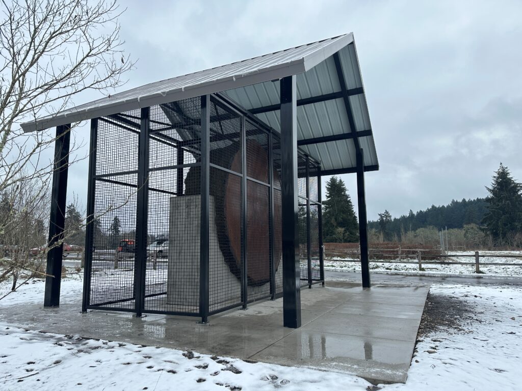 A photo of the Tenzler Log in its new shelter and mesh cage at Fort Steilacoom Park with snow on the ground in February 2025.