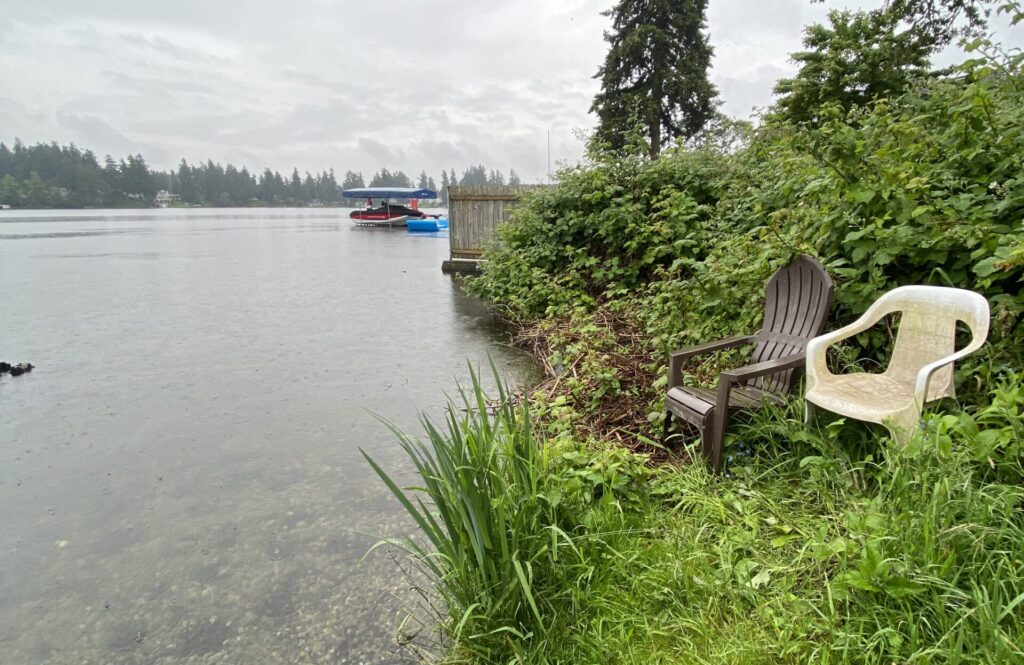 A photo of Lake Steilacoom where Westlake Avenue deadends into the lake. A plastic chair sits in overgrown green vegetation at the water's edge.