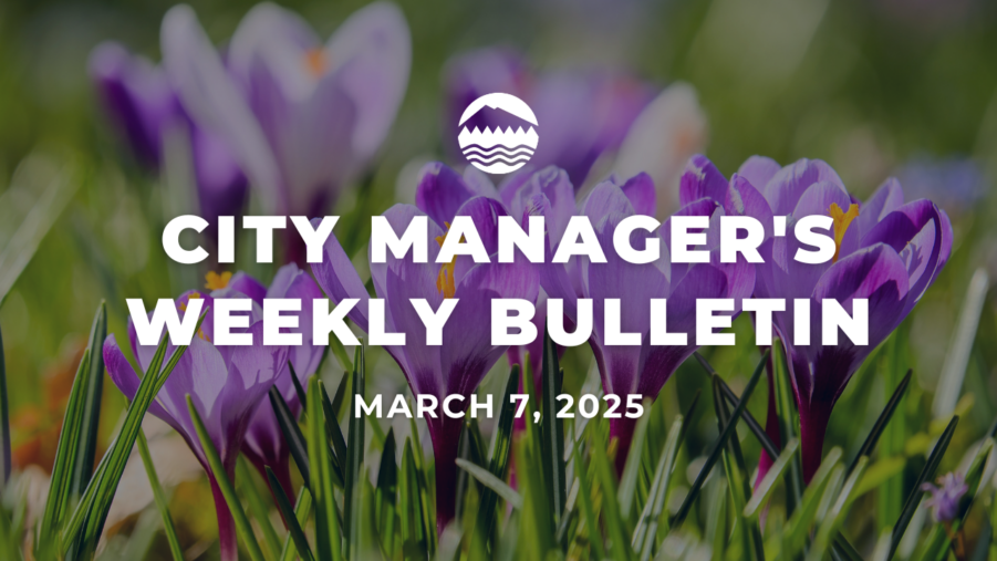 City Manager's Weekly Bulletin March 7, 2025 white text over an image of purple crocus flowers.