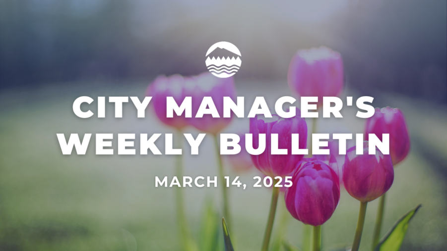 An image of purple tulips in the background with white text in the foreground that reads City Manager's Weekly Bulletin March 14, 2025