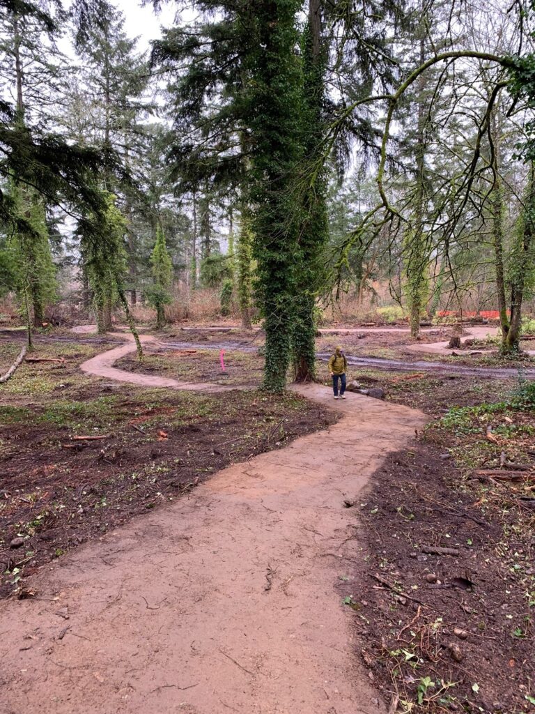 A photo of a preliminary mountain bike trail being built in Wards Lake Park. March 2025