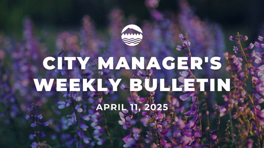 A close up of purple flowers. White text over the image reads City Manager's Weekly Bulletin April 11, 2025