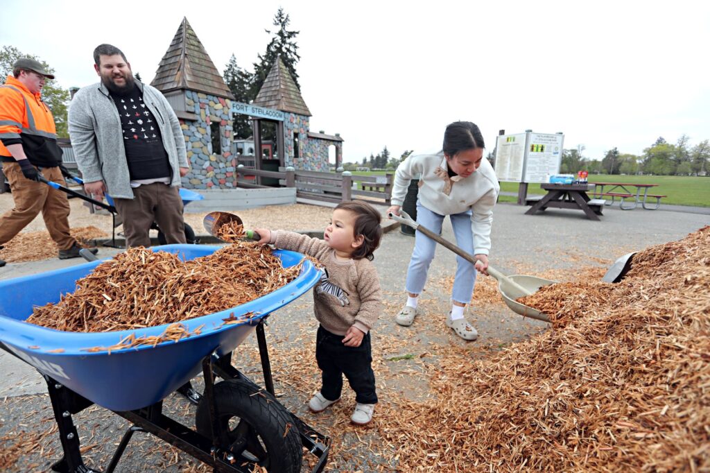 A toddler shovels woodchips into a wheelbarrow while an adult with a shovel takes a larger scoop at Lakewood Parks Appreciation Day 2025.