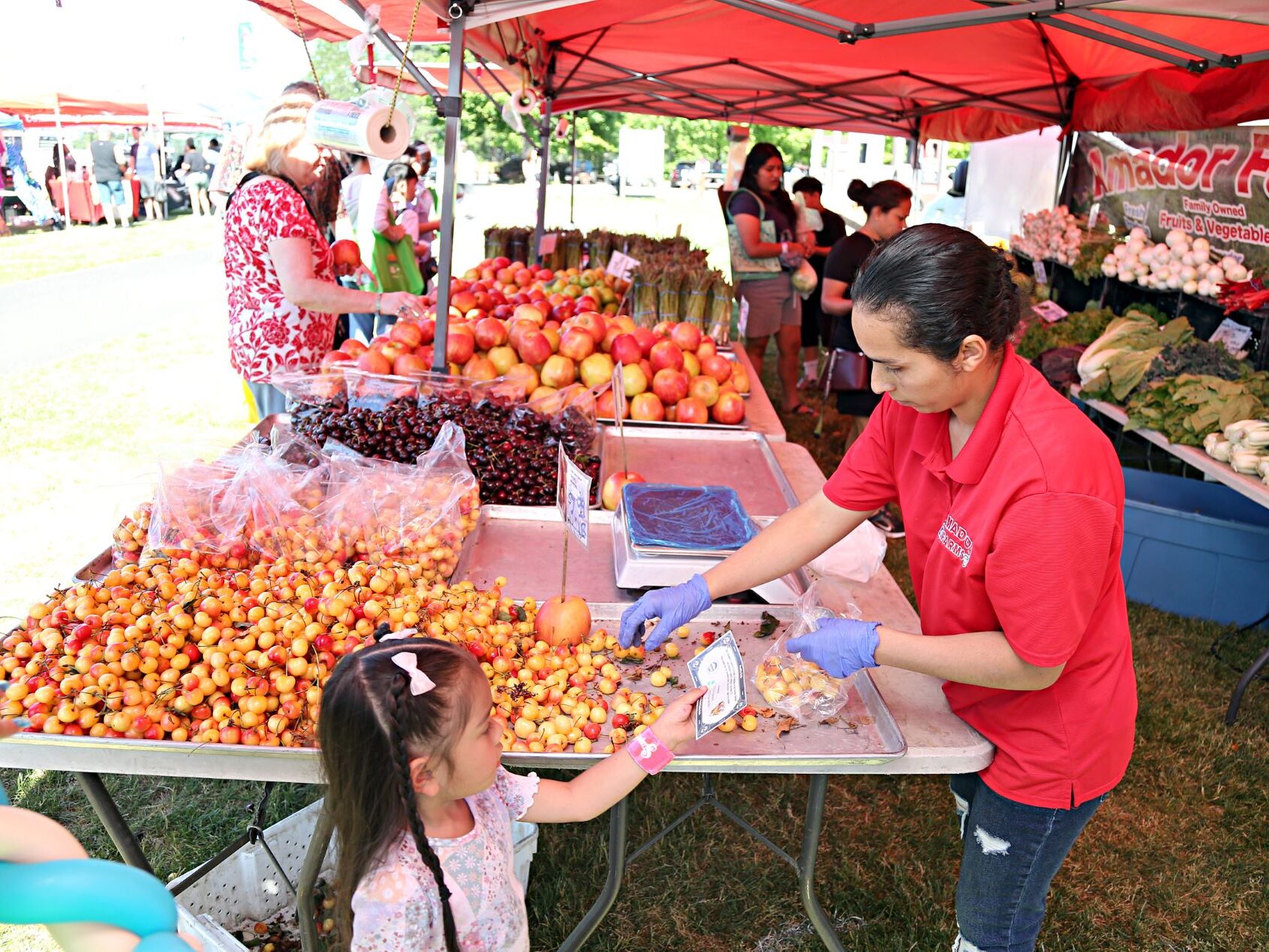 A young child hands a Lakewood Farmers Market vendor a Healthy Buck while the vendor scoops cherries into a bag.