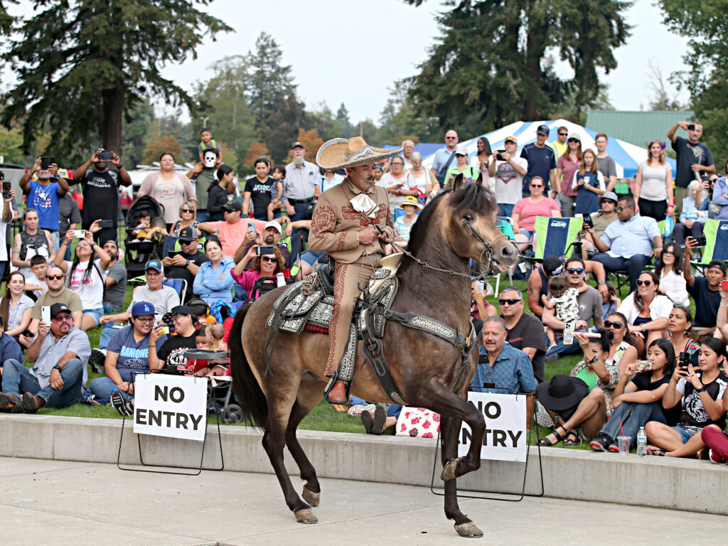 A person rides a horse during a performance on the paver area of The Pavilion at Fort Steilacoom Park while people sit on the grass watching.