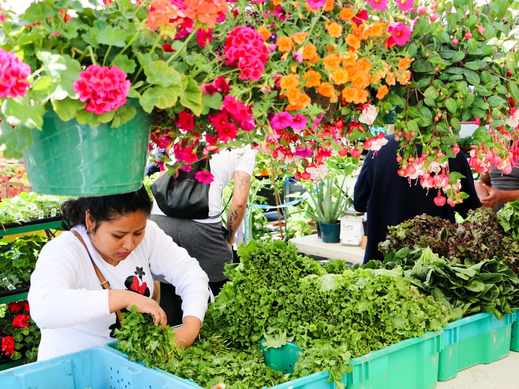Lakewood Farmers Market 2019 opening day, people shopping