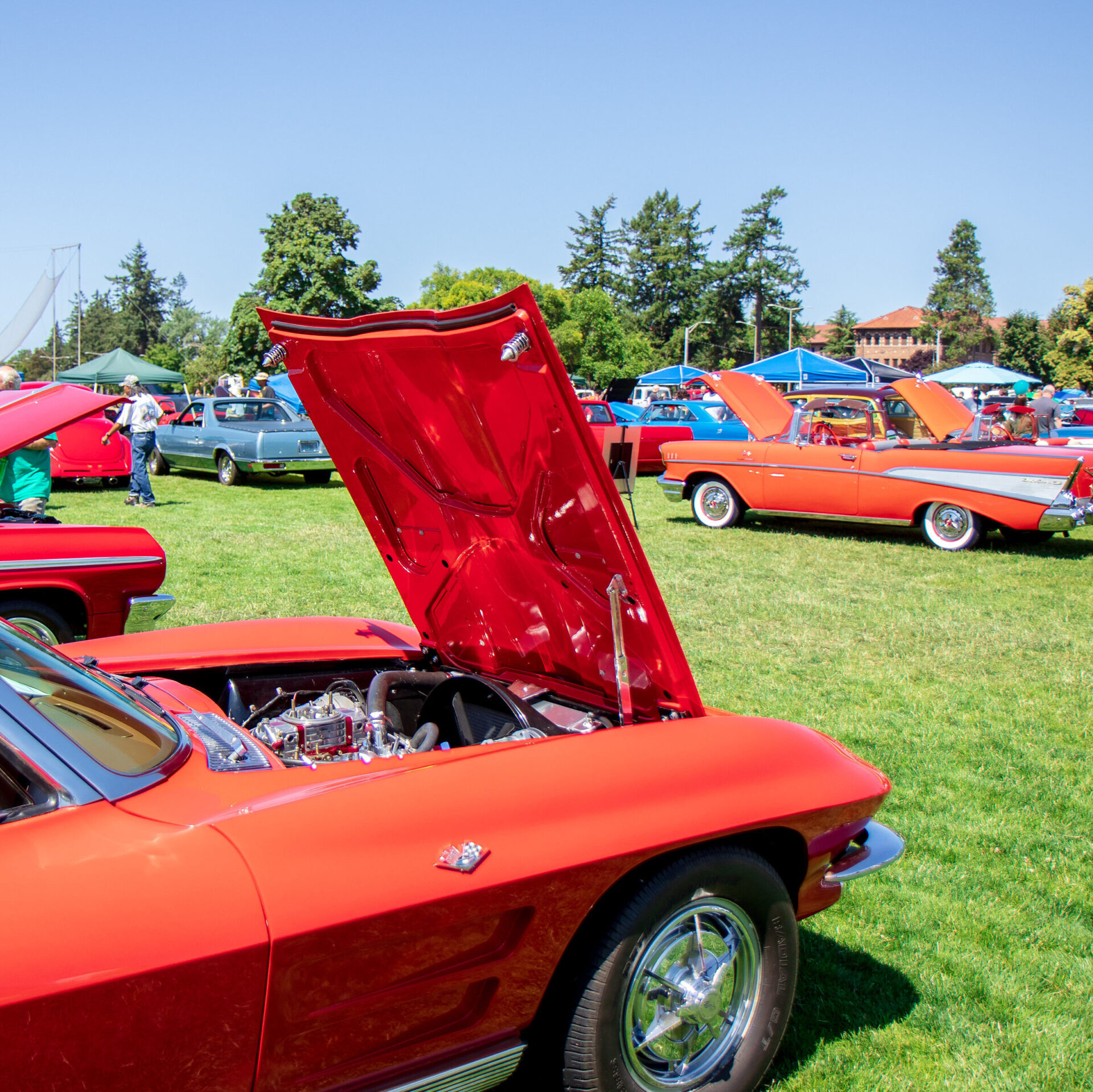 Lakewood Summerfest Car Show