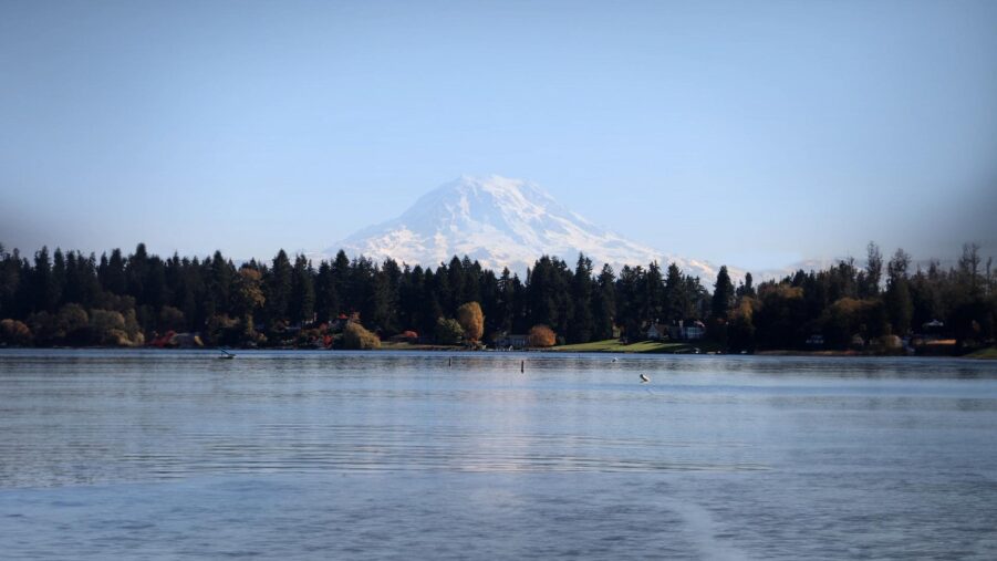 a picture of mount rainier in the background with American Lake in the foreground and trees on the far shore of the lake